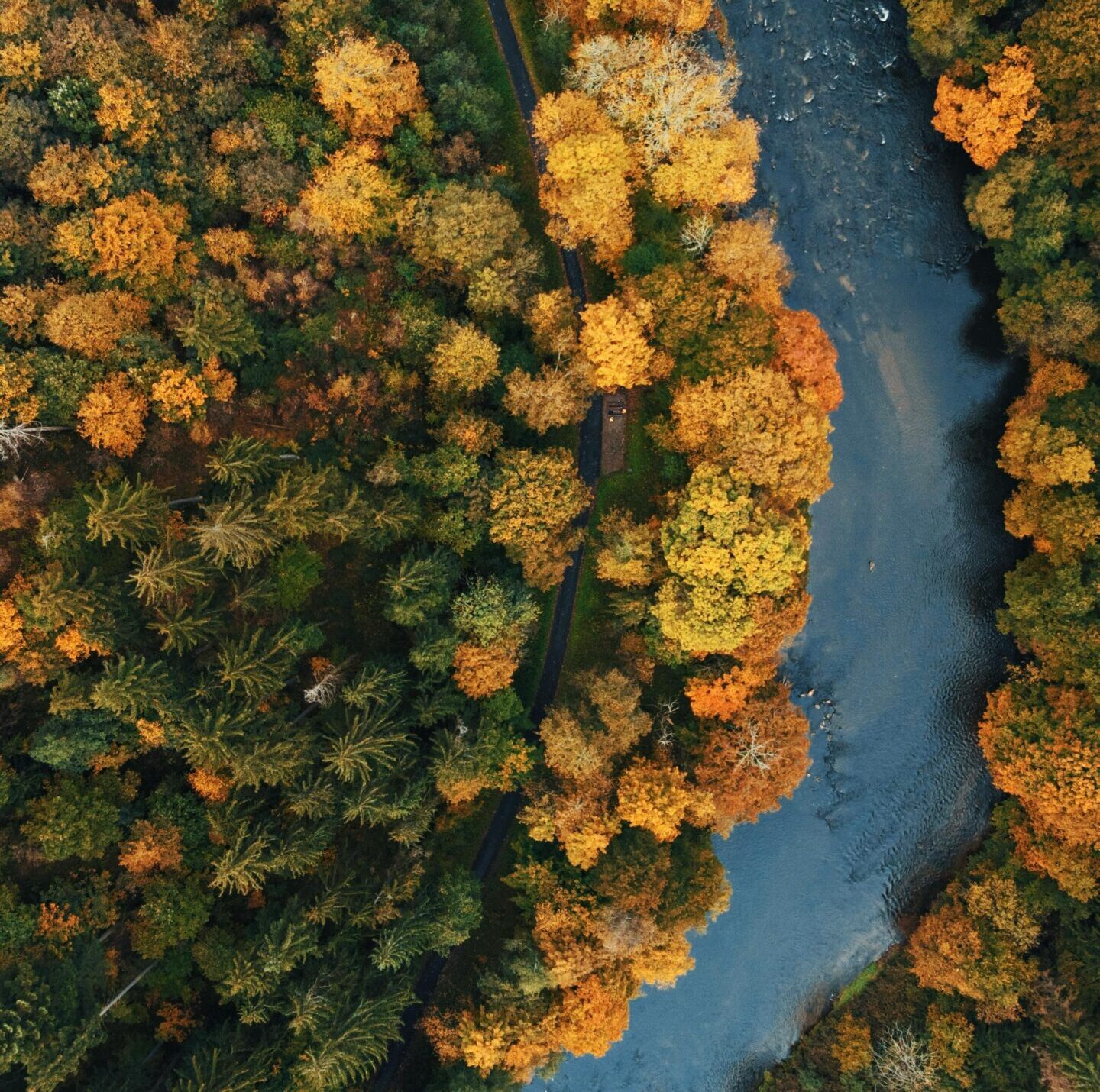 Pallet in legno sostenibili e imballaggi ecologici